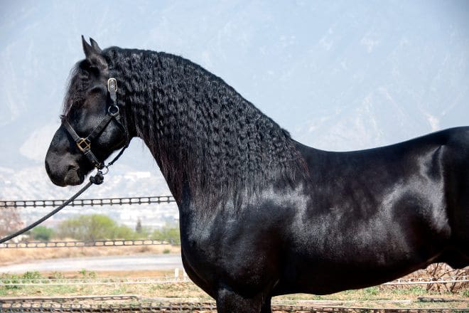 Practical Tips for Choosing the Perfect Name